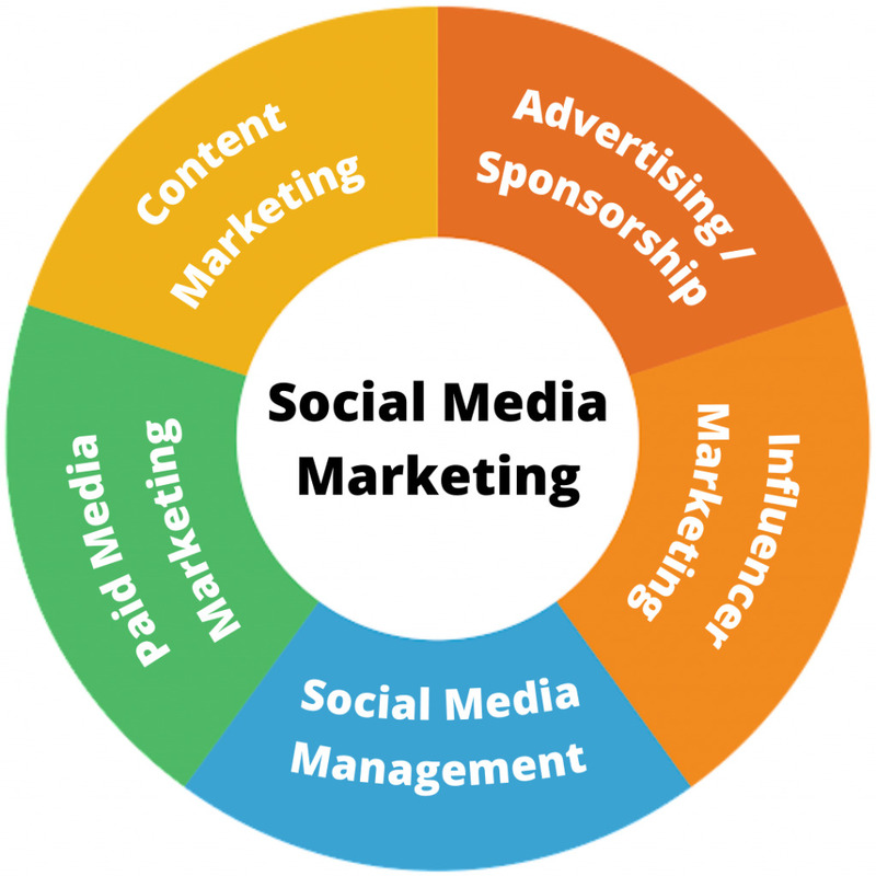 Social Media Marketing Agency in Noida | Madzenia
